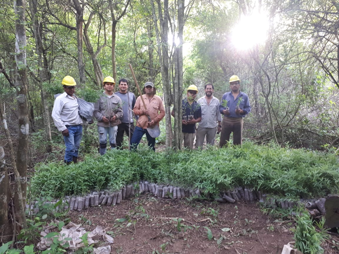 Afforestation for restoration of degraded lands - AWESOME NATURE-BASED VENTURES