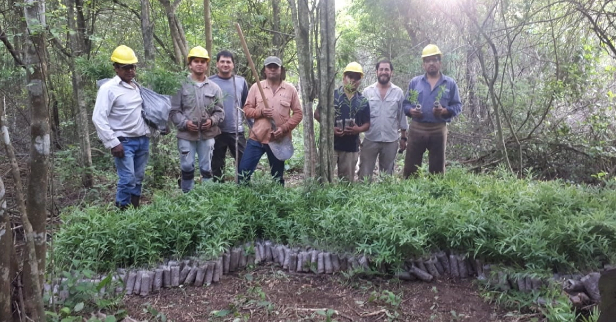 Afforestation for restoration of degraded lands Project | FLORA People & Planet